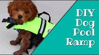 DIY Dog Pool Ramp - How To Build & Puppy Test!