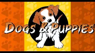 Trailer Dogs And Puppies
