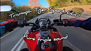 Triumph Tiger Sport 660 sound