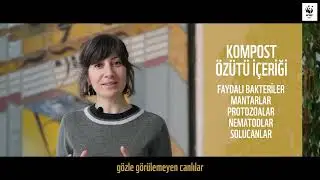 Kompost Nasıl Kullanılır?