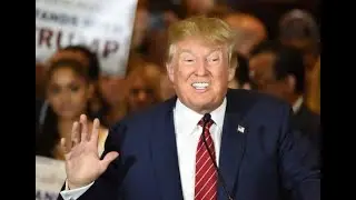 Trump cronies fled ahead of his 2024 announcement, as did the crowd at Mar a Lago