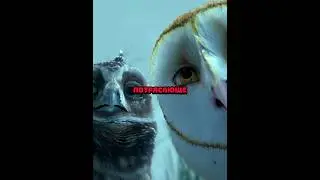 Неподелили добычу #film #shorts
