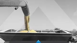 Sounds of Harvest: Transfering Soybeans to Grain Cart