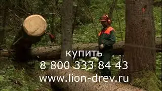 Лебедка трелевочная тайфун