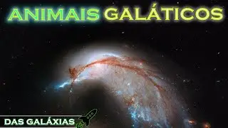 GALÁXIAS que parecem ANIMAIS