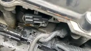 BMW squealing noise it’s not the belt! How to fix. Change the VVT Solenoid