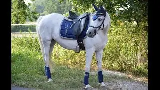 Mein erstes Turnier mit Dequilla ❤ Reiterwettbewerb mit Galopp