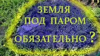 Земля под паром. Обязательно для дачных участков?