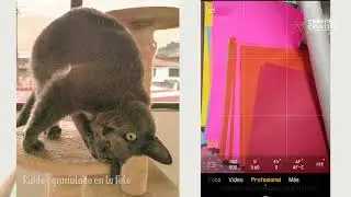 Hacks para Foto| Fotografía con el Celular | Produlatina Paso 3