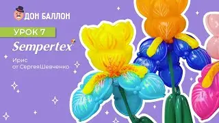 Урок 7. Ирис от художника по воздушным шарам Sempertex Сергея Шевченко