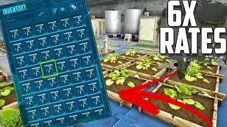 6X RATES ON OFFICIALS | OFFICIAL ARK PVP | 24HRS ONLY