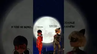 #ледибагисуперкот