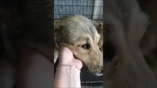 3 Найде нужна помочь. Она лечится, но потом идти ей некуда