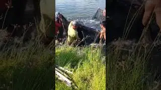 Fishing omg!!😲#fishing #adventure #fish #amazing #shorts #harvest #balıkavı #balıkçılık