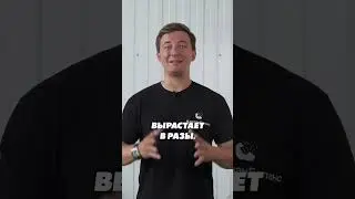 Отвлекающие факторы