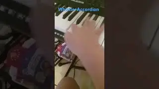 Bank 11/Accordions:01:Whistle +Accordion