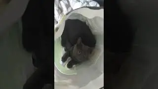 А можно я с тобой Синди-ЛУ 