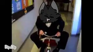 STOP WATCHING THIS (Ft. Siren Head and Cartoon Cat)
