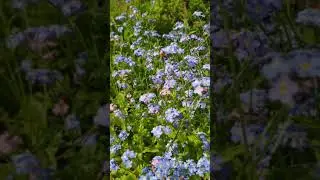VID 20200530 163840