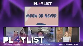 Playlist Extra: Catfight Philippines take on “Meow or Never” challenge