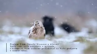 Štastné a veselé | Merry Christmas
