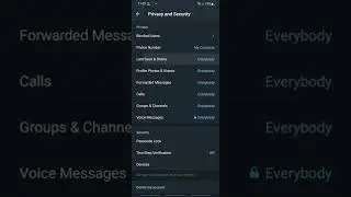 How to let nobody see your last seen on Telegram