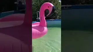 лето ммм 