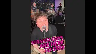 STRANGE DAYS ARE HERE TO STAY | Day 243 | Green Day