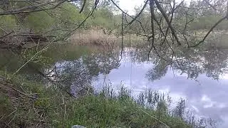 Красота