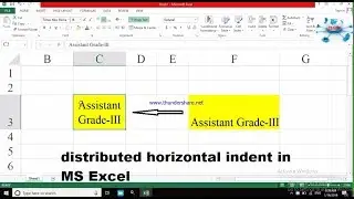 Horizontal Distributed Indent (Text) Alignment in excel 2013 |  📚📚e-DSH 2019 📚📚