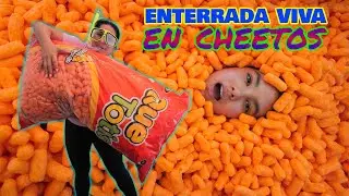 LIVE ENTRY IN CHETOS! | AnaNANA TOYS