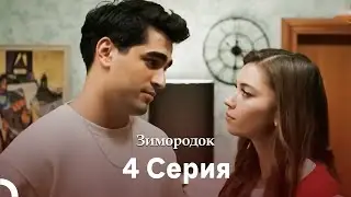 Зимородок 4 Cерия (Русский дубляж)(Длинная Bерсия)