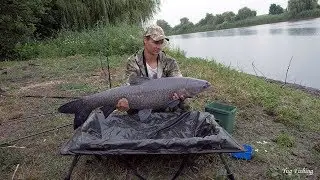 ПОЙМАЛ ТРОФЕЙНОГО ЧЁРНОГО АМУРА, ловля на флэт фидер, Flat Feeder