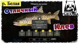 Russian Fishing 4, 