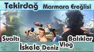 Tekirdağ Marmara Ereğlisi - Deniz , Sahil , İskele, Balık, Sualtı Çekim, VLOG