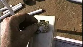 Finding a monster gold nugget?? part 1 (the set up)