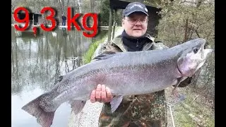Angelpark Hahn. XXL-Ostern-Angeln. Lachsforelle 9,300 Kg!