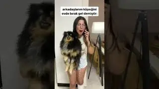 En son bıraktığımda çok ağlamıştı. 