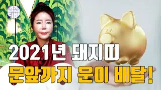 (서울점집)(운세) 2021년 상반기 돼지띠 운세!  문앞까지 운이 배달?!