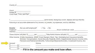 How to fill out the Financial Disclosure Affidavit Form - Part 1 of 2