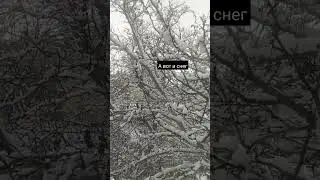 А вот и снег #snowman