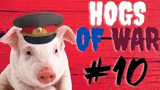 Hogs of war. Прохождение. Эпизод 10....Разносим свиные КИБИТКИ!!!! Миссия 11