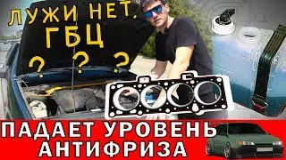 Where does the antifreeze go in VAZ 2114, 2113, 2109, and 2108?