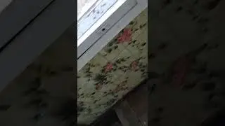 электричество в дом