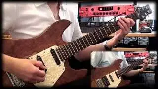 Countdown to Insanity (guitar cover by Deppy Audio)