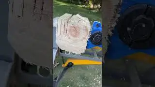 $149 6” pruning chainsaw with bogo!