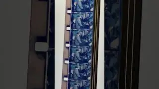 Jaws 16mm film reel #shark #film #cinema #16mmfilm