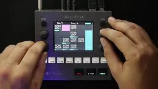 Sampling A4 and Guitar Loops With the Blackbox [free project and samples download in description]