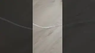 хахахаах
