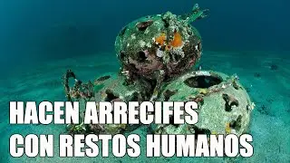 Arrecifes hechos de restos humanos
